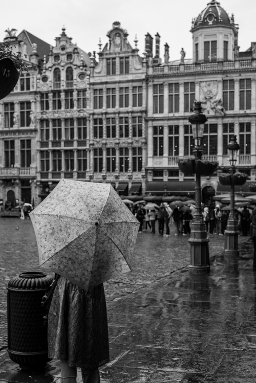 Grand-Place, Bruxelles. Mai 2024. 20x30