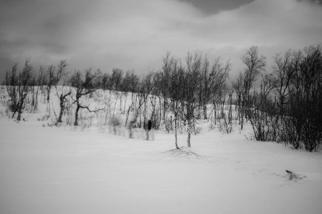Effervescence, Abisko. Décembre 2024. 30x45